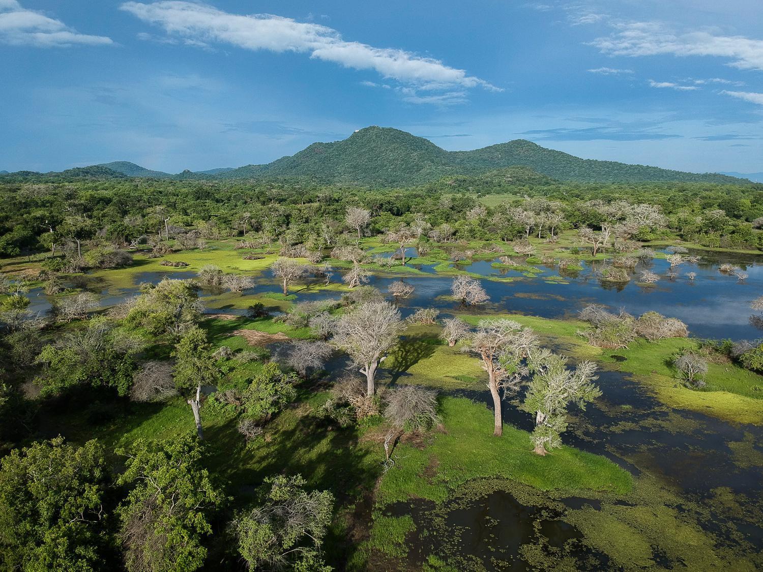 Kulu Safaris Hotel Яла Екстериор снимка